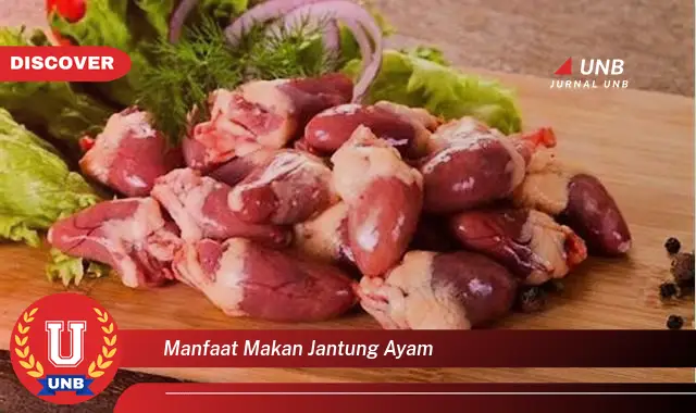 manfaat makan jantung ayam