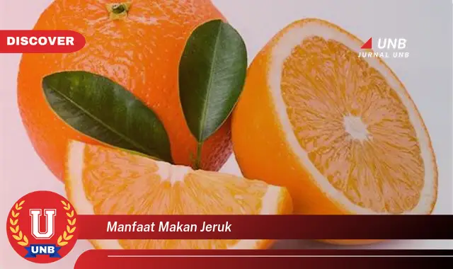 manfaat makan jeruk manfaat makan jeruk