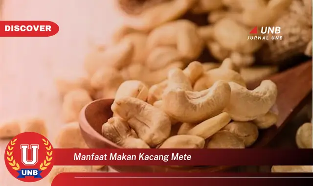manfaat makan kacang mete manfaat makan kacang mete