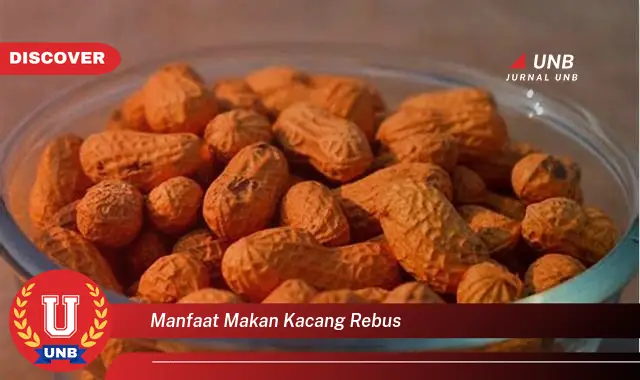 manfaat makan kacang rebus