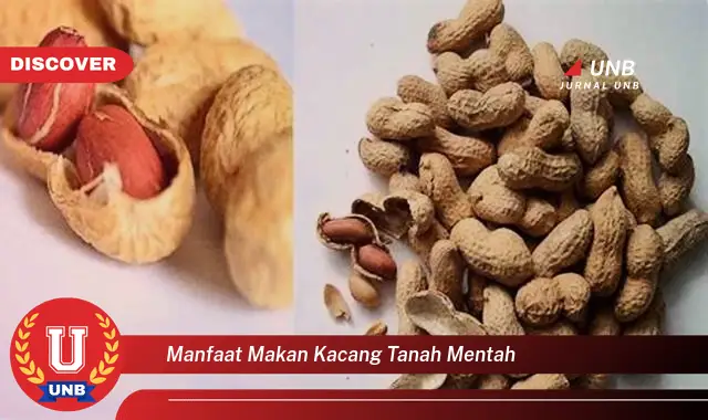 Temukan 6 Manfaat Makan Kacang Tanah Mentah Yang Bikin Kamu Penasaran