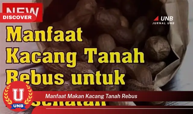 Temukan 6 Manfaat Makan Kacang Tanah Rebus Yang Jarang Diketahui