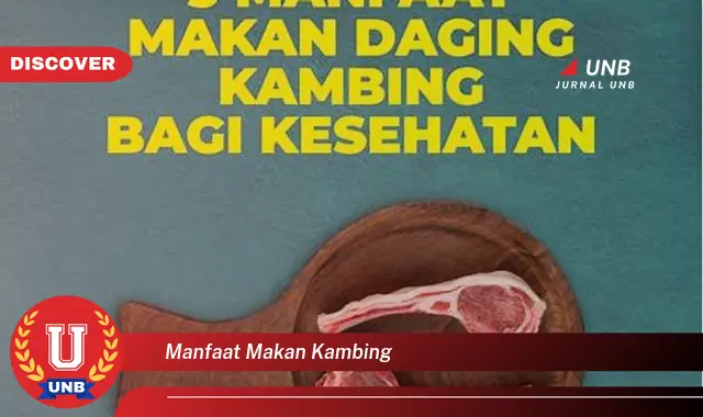 manfaat makan kambing manfaat makan kambing