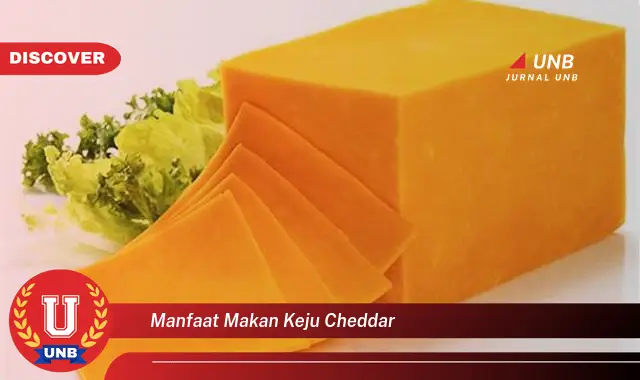 manfaat makan keju cheddar