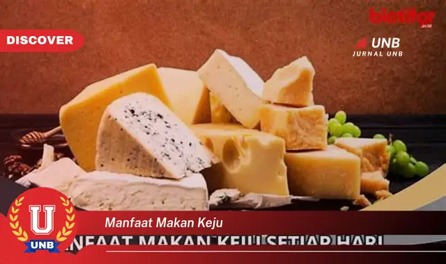 manfaat makan keju