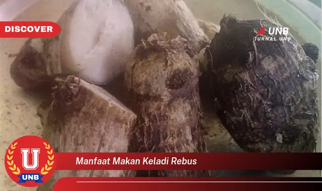 manfaat makan keladi rebus manfaat makan keladi rebus