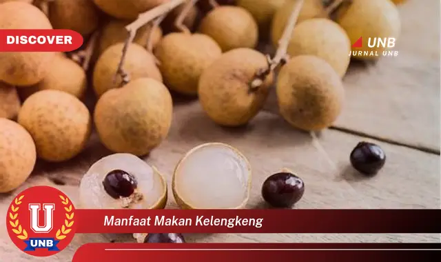 manfaat makan kelengkeng manfaat makan kelengkeng