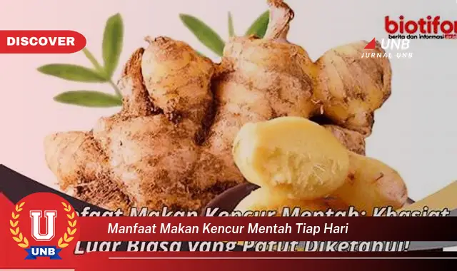 Temukan 6 Manfaat Makan Kencur Mentah Tiap Hari yang Bikin Kamu Penasaran