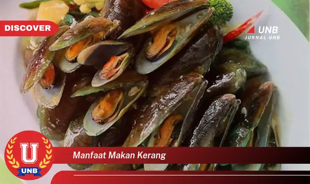 manfaat makan kerang manfaat makan kerang