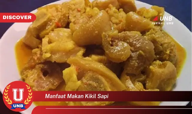 manfaat makan kikil sapi