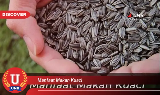 manfaat makan kuaci