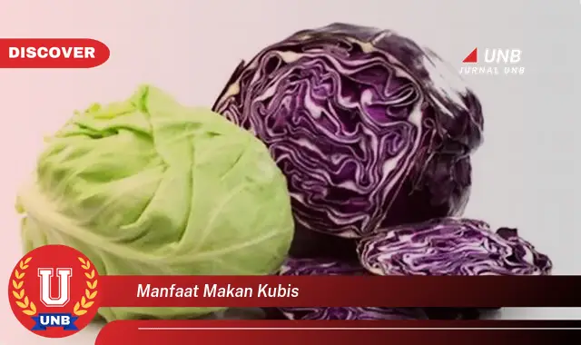 manfaat makan kubis manfaat makan kubis