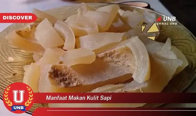manfaat makan kulit sapi manfaat makan kulit sapi