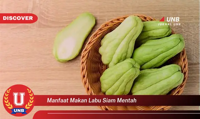 manfaat makan labu siam mentah manfaat makan labu siam mentah