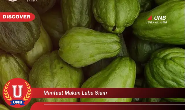 manfaat makan labu siam