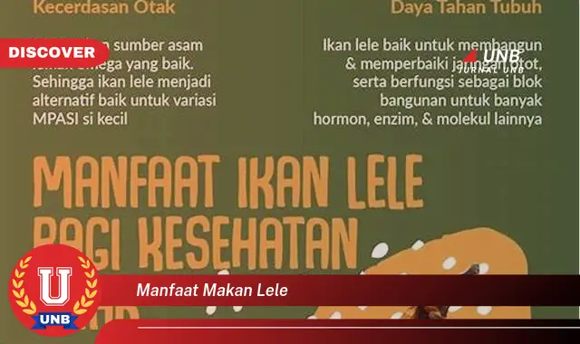 manfaat makan lele