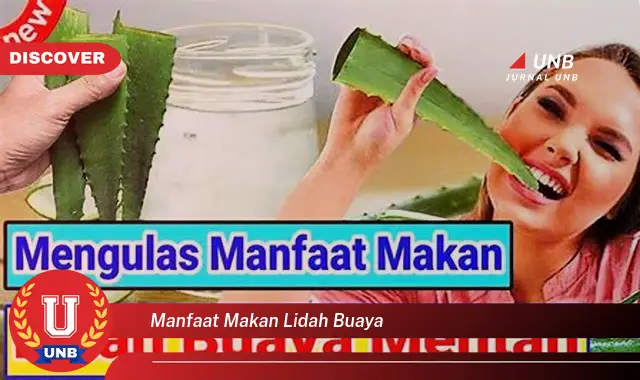manfaat makan lidah buaya manfaat makan lidah buaya