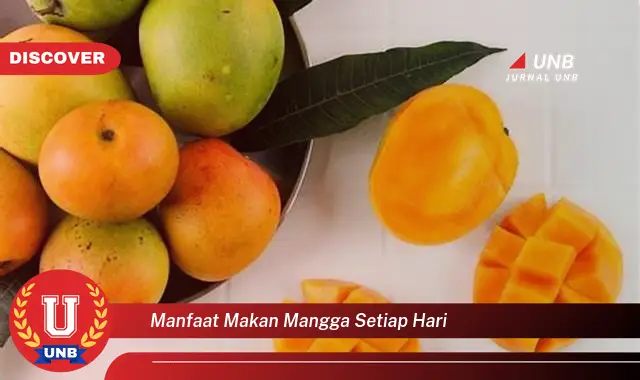 manfaat makan mangga setiap hari