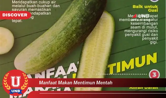 manfaat makan mentimun mentah manfaat makan mentimun mentah