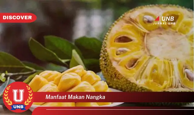 manfaat makan nangka