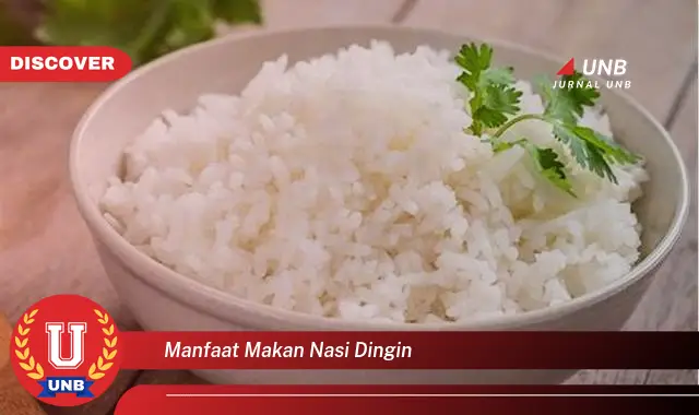 manfaat makan nasi dingin