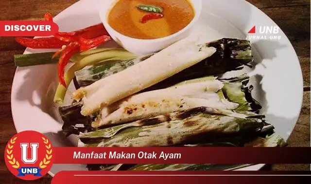manfaat makan otak ayam manfaat makan otak ayam