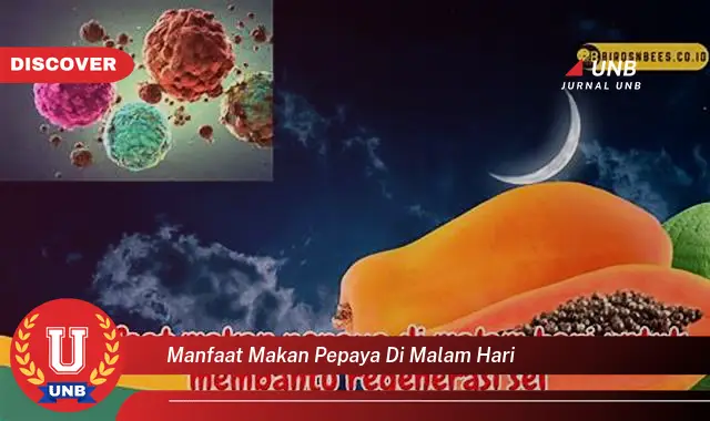 manfaat makan pepaya di malam hari manfaat makan pepaya di malam hari