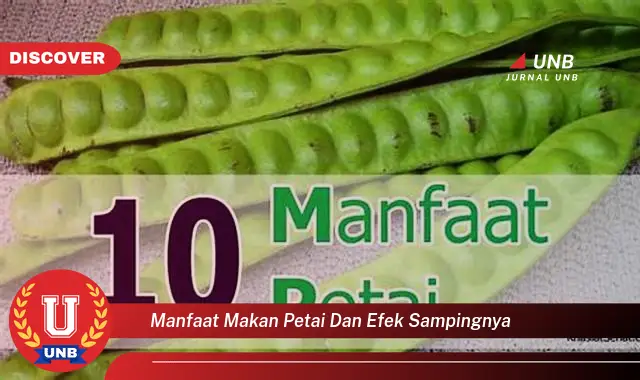 manfaat makan petai dan efek sampingnya manfaat makan petai dan efek sampingnya