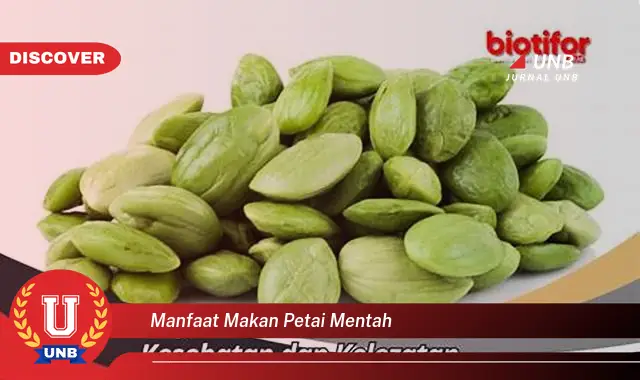 manfaat makan petai mentah manfaat makan petai mentah