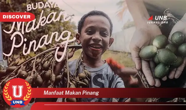 manfaat makan pinang manfaat makan pinang