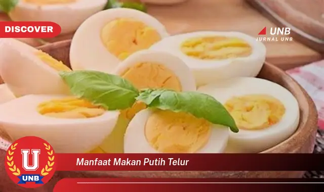 manfaat makan putih telur