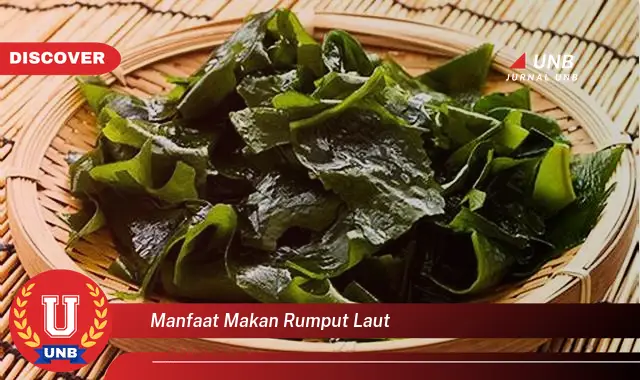 manfaat makan rumput laut