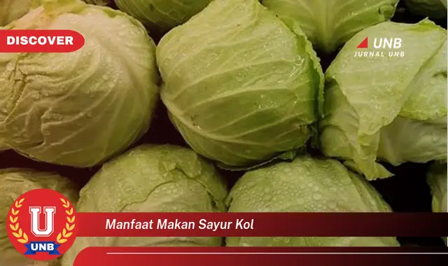 manfaat makan sayur kol