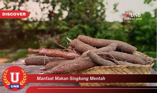 manfaat makan singkong mentah