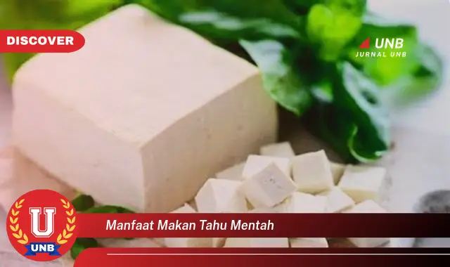 manfaat makan tahu mentah