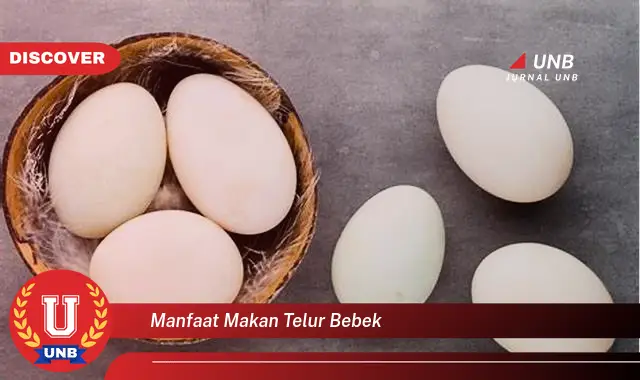 manfaat makan telur bebek manfaat makan telur bebek