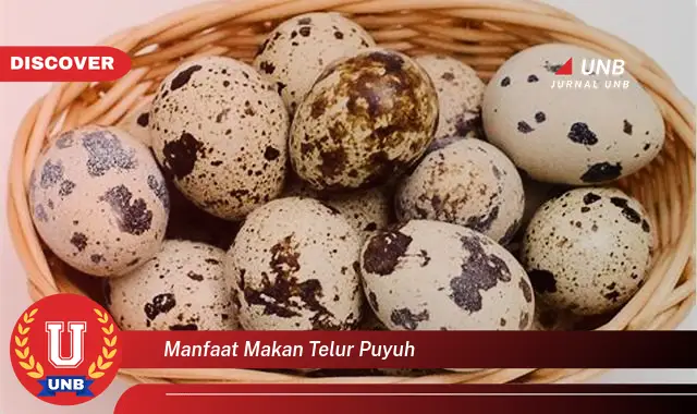 manfaat makan telur puyuh