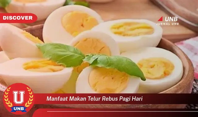 manfaat makan telur rebus pagi hari