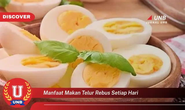 manfaat makan telur rebus setiap hari manfaat makan telur rebus setiap hari