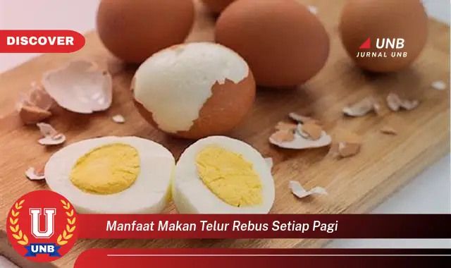 manfaat makan telur rebus setiap pagi manfaat makan telur rebus setiap pagi