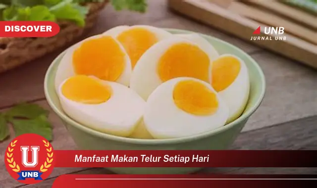 manfaat makan telur setiap hari