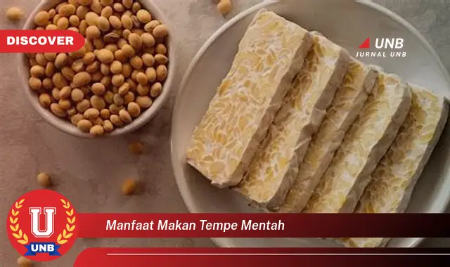 manfaat makan tempe mentah