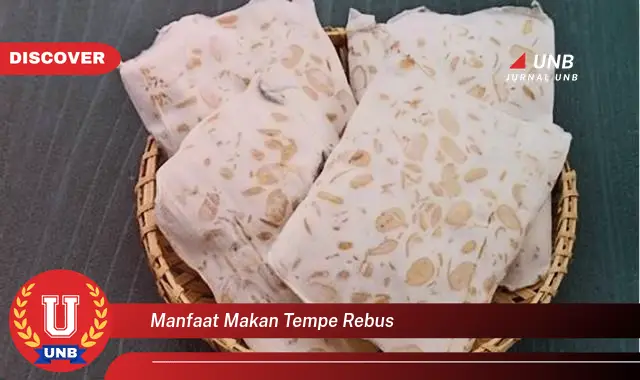 manfaat makan tempe rebus