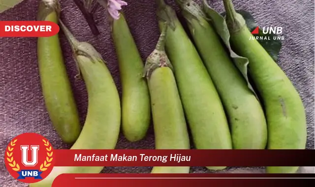 manfaat makan terong hijau