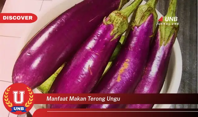 manfaat makan terong ungu