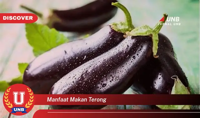 Intip 6 Manfaat Makan Terong yang Bikin Kamu Penasaran
