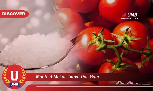 manfaat makan tomat dan gula manfaat makan tomat dan gula