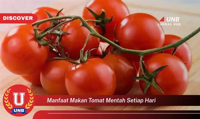 manfaat makan tomat mentah setiap hari