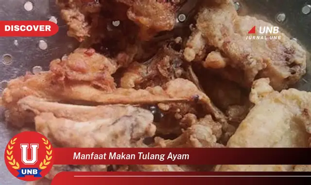 manfaat makan tulang ayam