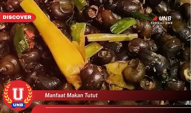 manfaat makan tutut manfaat makan tutut